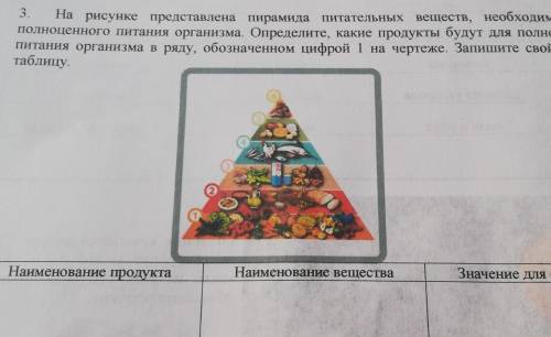 3. На рисунке представлена пирамида питательных веществ, необходимых для полноценного питания органи