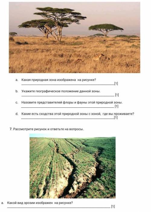 Рассмотрите рисунок и ответьте на вопросы. Какая природная зона изображена на рисунке? [1]Укажите ге