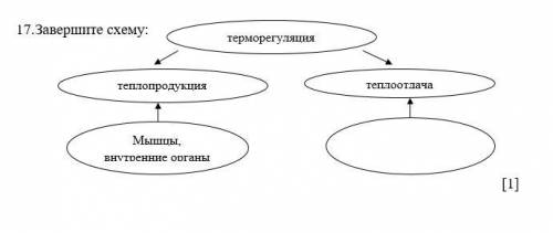 Завершите схему: Терморегуляция