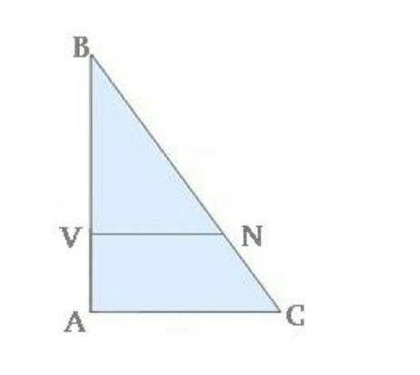 Известно, что VN||AC, AC= 14 м,VN= 6 м,AV= 8 м.Вычисли стороны VB и AB.Докажи подобие треугольников.