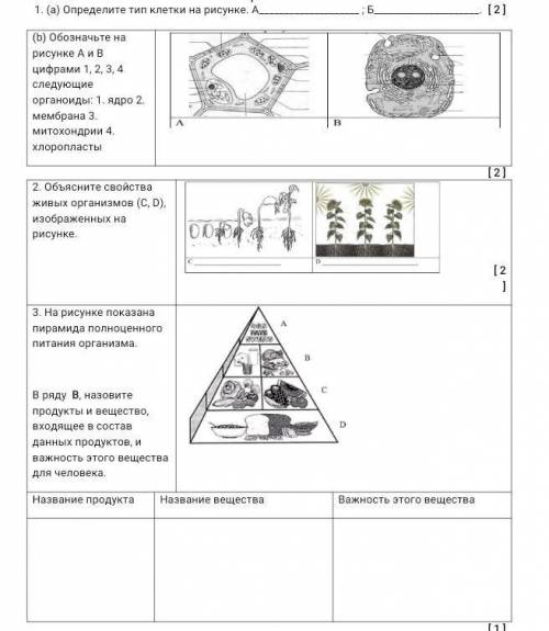 Люди. HELP ME PLEASE естествознание 6 класс ​3 упрж. не надо