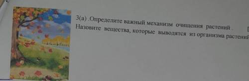 Определите важный механизм очищения растений. Назовите вещества, которые выводятся из организма раст