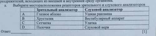 Выберите месторасположения рецепторов зрительного и слухового анализаторов