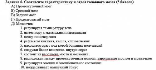 Соотнесите характеристику и отдел головного мозга А) Промежуточный мозг Б) Средний мозг В) Задний мо