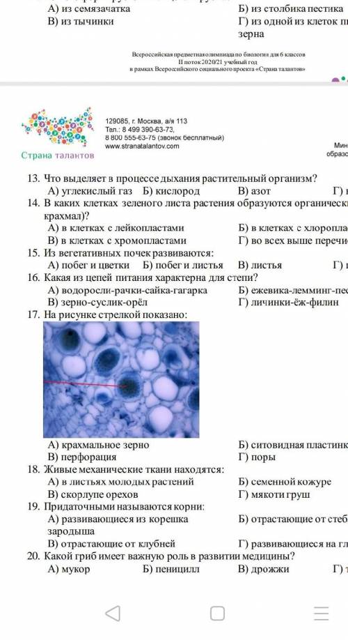 Не отвечайте на него я случайно задал