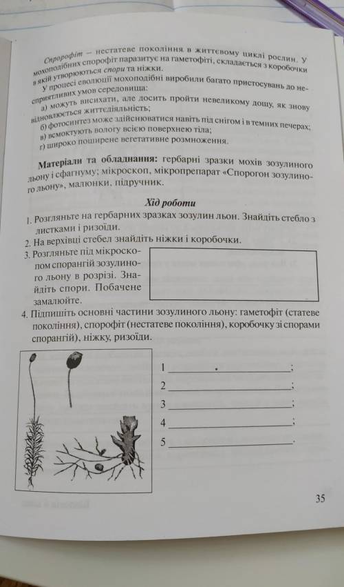 За відповідь на це все чесно!​