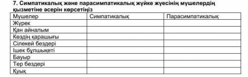 Симпатикалық және парасимпатикалық жүйке жүесінің мүшелердің қызметіне әсерін көрсетіңіз.​