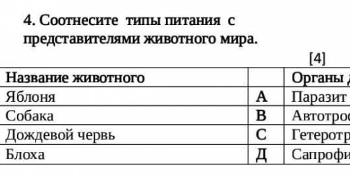 4. Соотнесите  типы питания  с представителями животного мира.  [4]  Название животногоОрганы дыхани