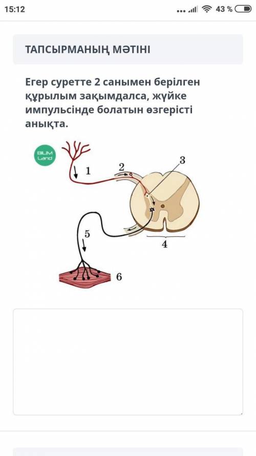 Егер суретте 2 санымен берілген