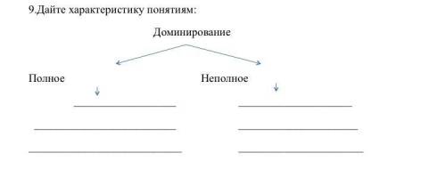 Дайте характеристику понятием