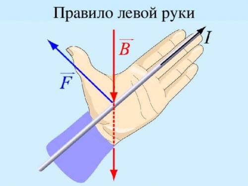 Правило левой руки кратко 7 класс ​