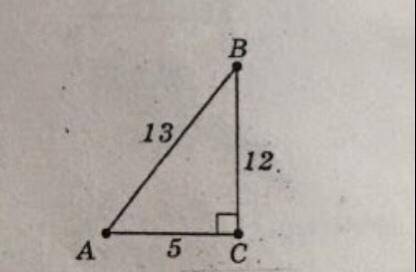 Катети АCiВС тагіпотенуза АВ прямокутного трикутника АВС відповідно дорівнюютъ 5 см, 12 см і 13 см (