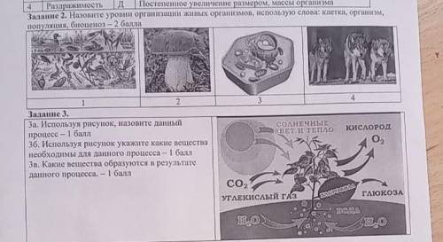 Задание 2. назовите уровни организации живых организмов, использую слова: клетка, организм, популяци