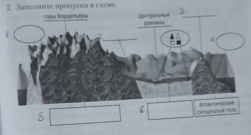 Заполните пропуски в схеме, за спам кусаю​