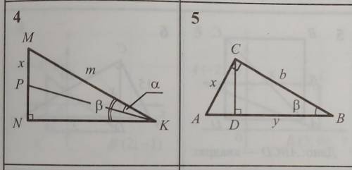 Номер 4, 5. Надо найти X и Y​