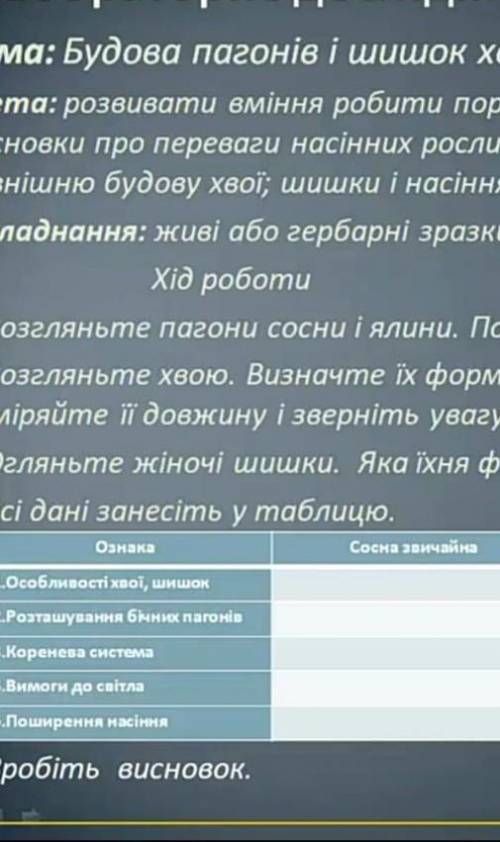 ів якщо розв'яжете табличку : там ще є ялина звичайна ​