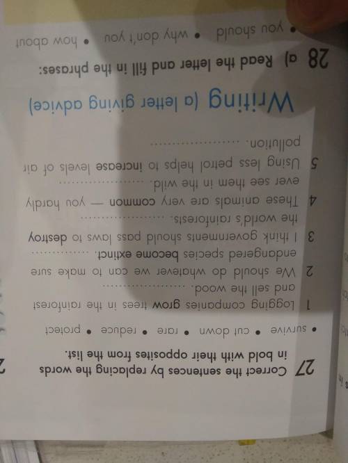 С АНГЛИСКИМ ОЧЕНЬ 6 КЛАСС БУДУ ВАМ ОЧЕН БЛАГОДАРНА УПРАЖНЕНИЯ 25. 26. 27. 2. 4.