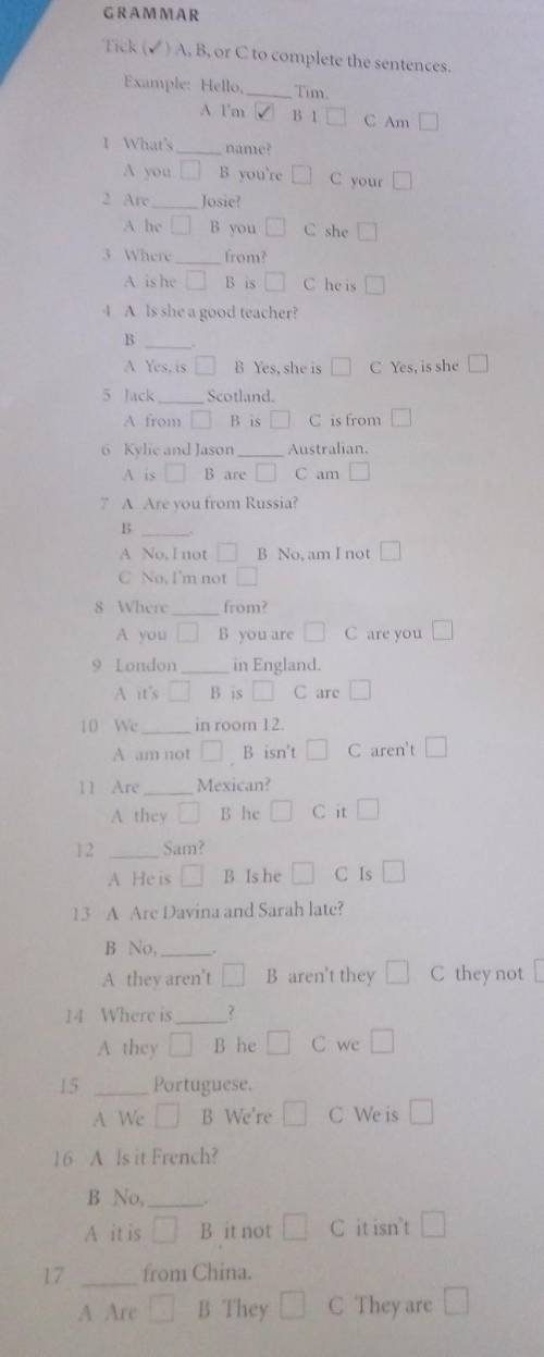 1 Tick ( A.B, or to complete the sentencesExample: Hello TimA I'm BID C Am G20 ThA1 What'sA you D B