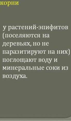 Каких растений есть отделения корень​