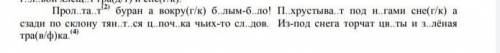 ,вставьте пропущенные буквы и знаки препинания​