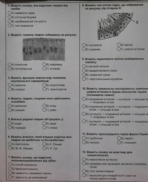 с Алимпусом надо до 18:00 ​