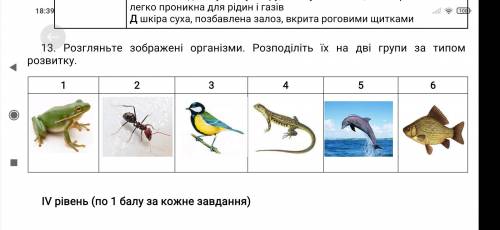 Розгляньте зображені організми. Розподіліть їх на дві групи за типом розвитку. 1 2 3 4 5 6 Розгляньт