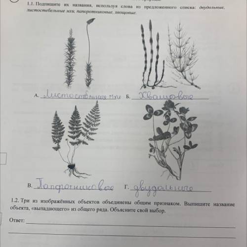 Три из изображённых объектов объединены общим признаком. Выпишите название объекта ,*выпадающего* из