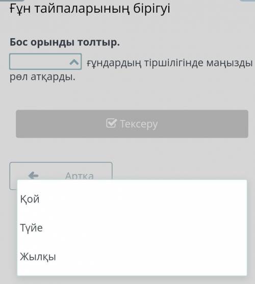 Ғұн тайпаларының бірігуі бос орынды толтыр(?) ғұн тайпаларының бірігуібос орынды толтырғұндардың тір