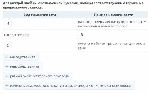 Для каждой ячейки, обозначенной буквами, выбери соответствующий термин из предложенного списка. Вид