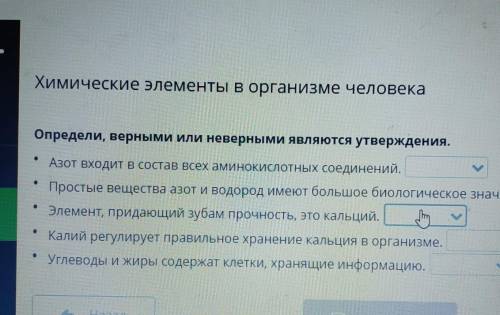 Определи, верными или неверными являются утверждения. Азот входит в состав всех аминокислотных соеди