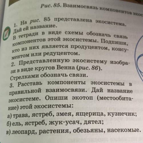 2)Представленную экосистему изобрази в виде кругов Венна