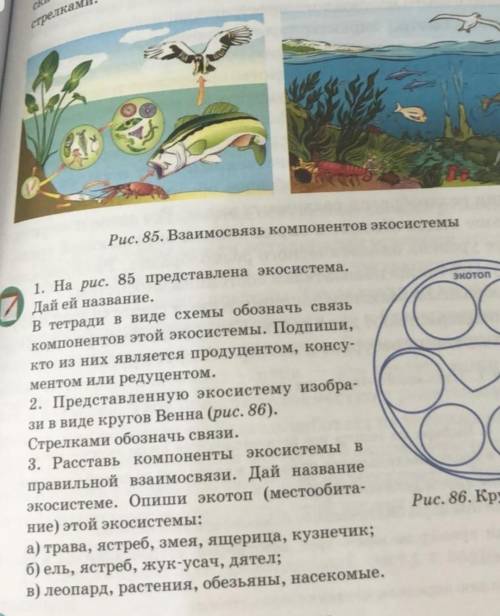 с естествознанием на три вопроса ответить​