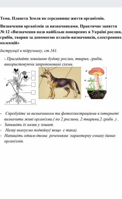 іть,будь ласка потрібно на сьогодні.​