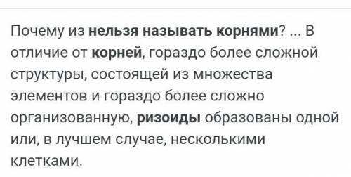 Что такое ризоиды? Почему их нельзя назвать корнями? Что такое храмотофор? ​