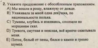 Укажите предложение с обособленным приложением