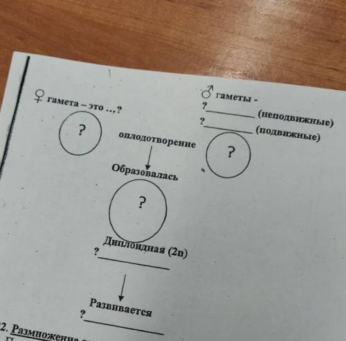 где кружок с ? надо вписать n и n2 ​