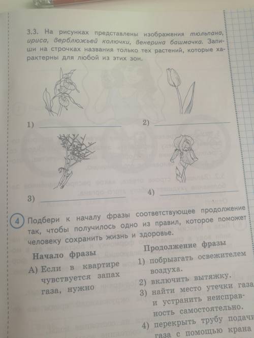 решить задание (3, 3,2 и 3,3)