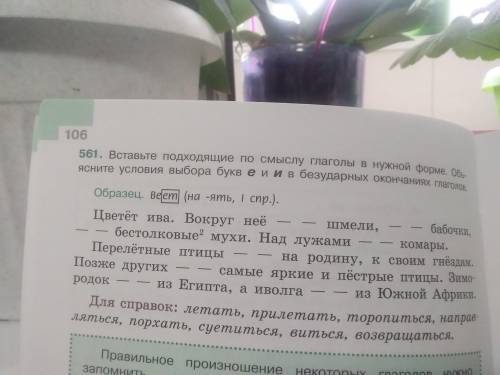 , просто меня не было сегодня в школе. И я не понимаю