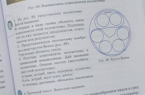 Рис. 85. Взаимосвязь компонентов эн 1. На рис. 85 представлена экосистема.Дай ей название.В тетради