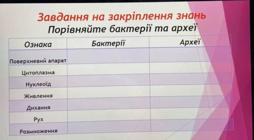 Порівняйте бактерії та археї Ознака Бактерії Археї Поверхневий апарат Цитоплазма Нуклеоїд Живлення Д