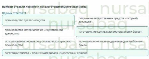 отраслевой состав мирового хозяйства: добывающая и перерабатывающая отрасли; сферы услуг. урок 1 онл