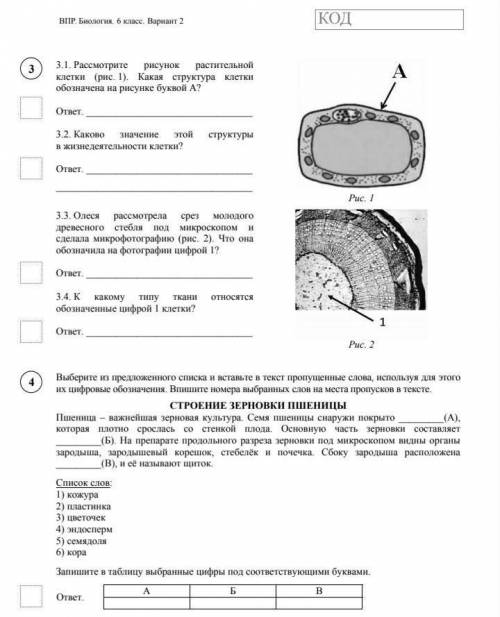 Биология 6 класс ВПР умаляю​