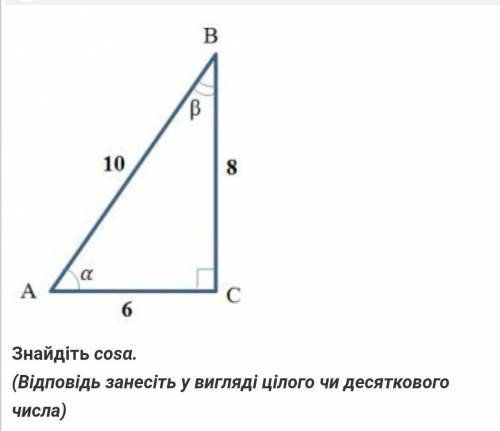 Не понимаю ничего совсем ​