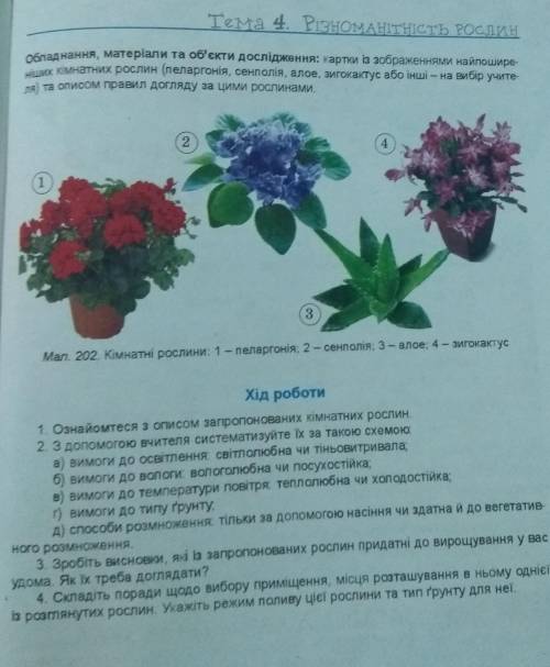 ДОВЕДЕМО НА ПРАКТИЦІ ПРАКТИЧНА РОБОТА 4Тема: ВИЗНАЧЕННЯ ВИДІВ КІМНАТНИХ РОСЛИН, ПРИДАТНИХ ДЛЯ ВИРОЩУ