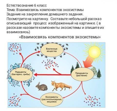 Посмотрите на картинку. Составьте небольшой рассказ описывающий процесс изображенный на картинке. (