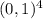 (0,1)^{4}