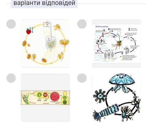 Оберіть малюнок, на якому зображено життєвий цикл аурелії: варіанти відповідей на малюнку. до іть ду