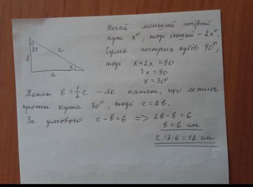 Один з гострів кутів прямокутного трикутника удвічі менший за другий. Знайдіть гострі кути трикутник