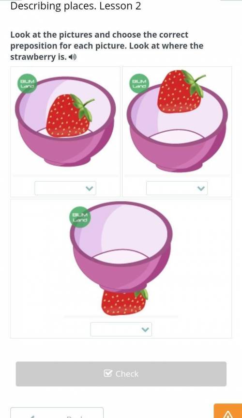Look at the pictures and choose the correct preposition for each picture. Look at where the strawber
