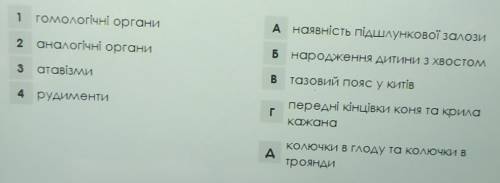 ❤️ ❤️ ❤️ Установіть відповідність між доказали еволюції в галузі порівняльної анатоміїта прикладами,